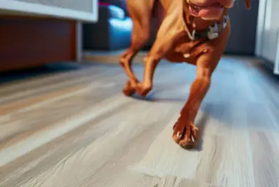 Pet friendly RV flooring