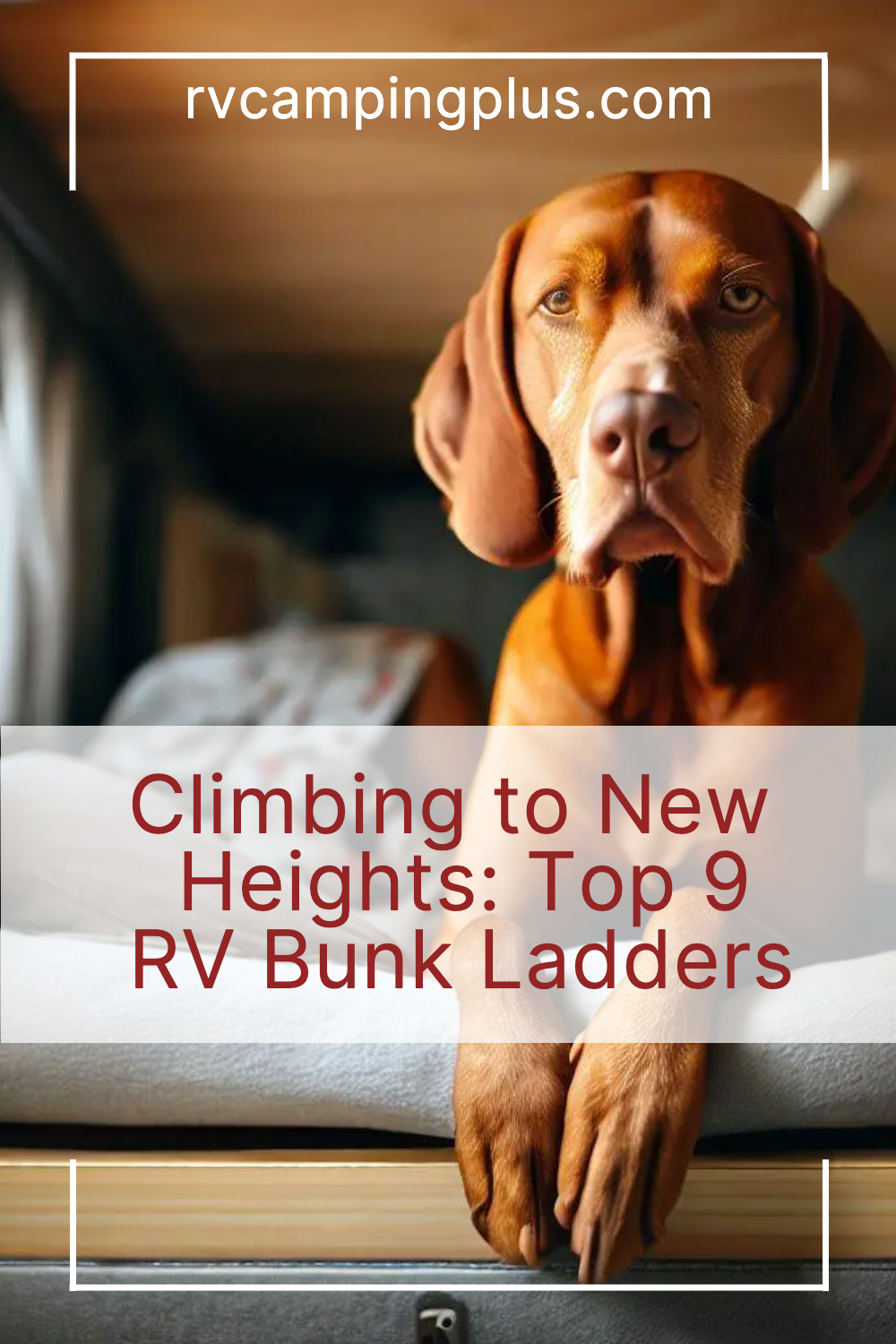Climbing to New Heights Top 9 RV Bunk Ladders